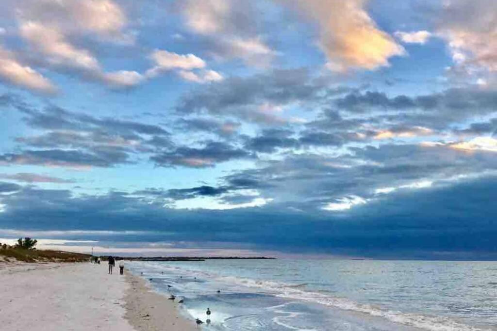 St Pete Vacation Rentals Сент-Пітерсбург Екстер'єр фото